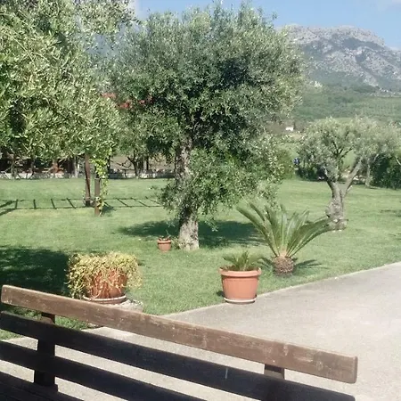 Jamm Ja * Paestum