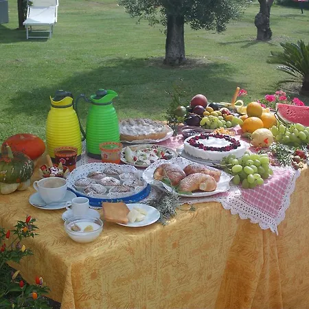 Jamm Jà * Paestum